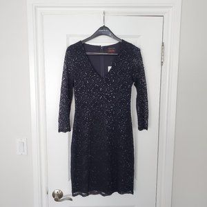 NWT Banana Republic L'wren Scott lace dress